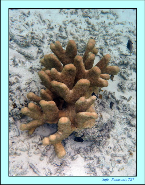 2009   07   Matakin 65